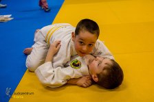 23.01.2026 Kyu-Prüfung